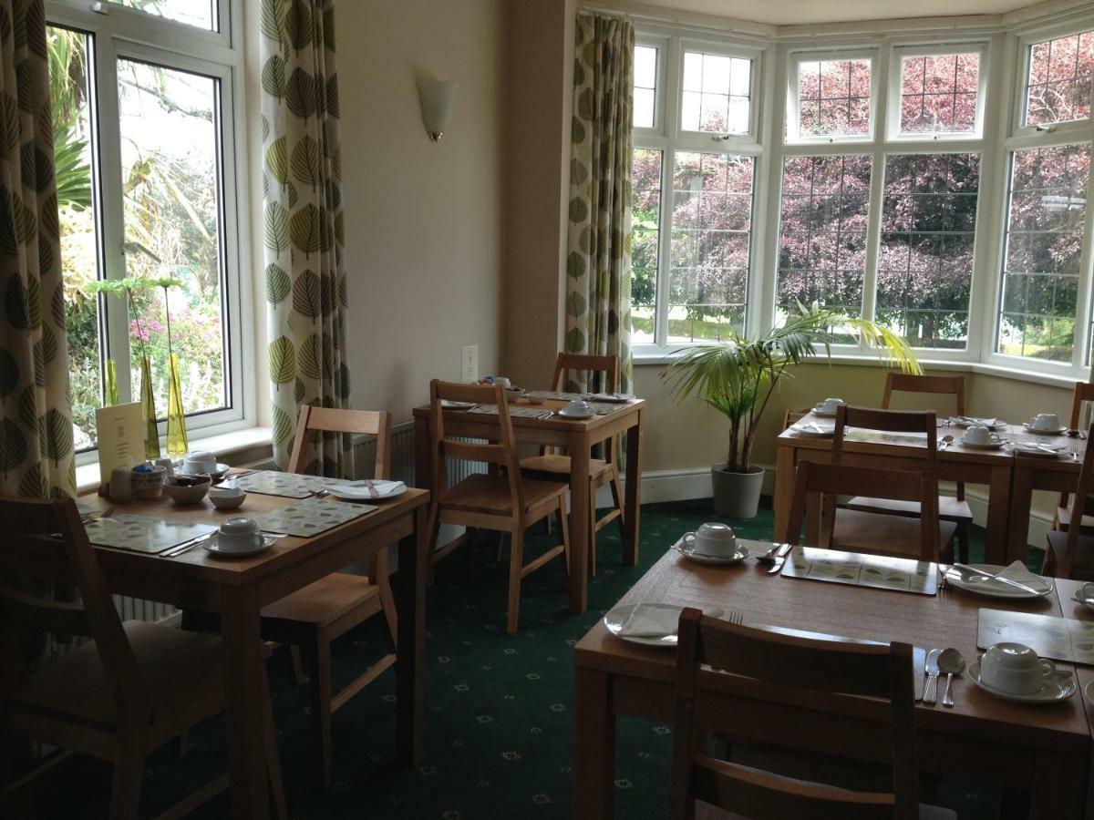 Copper Beech Rooms New Quay Eksteriør bilde